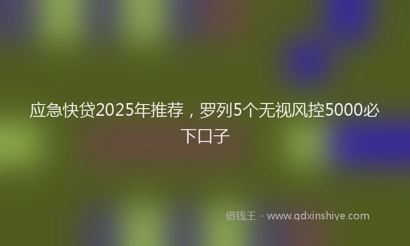 应急快贷2025年推荐，罗列5个无视风控5000必下口子