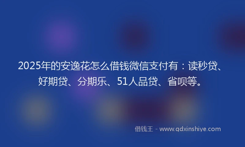 2025年的安逸花怎么借钱微信支付有：读秒贷、好期贷、分期乐、51人品贷、省呗等。