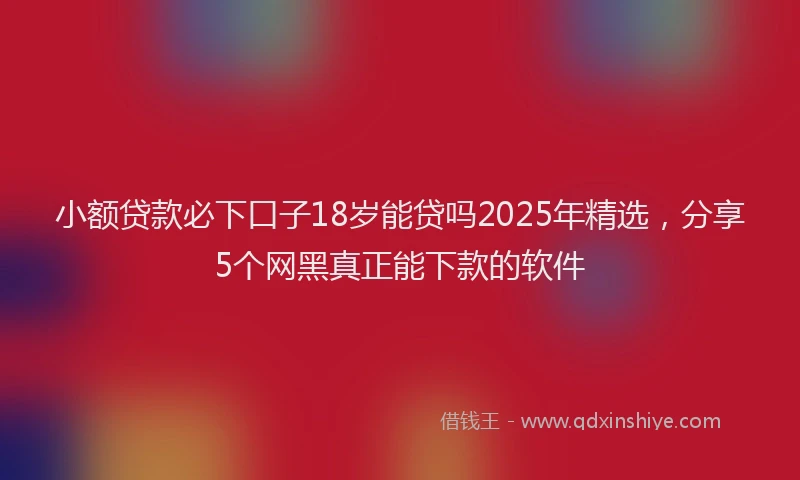 小额贷款必下口子18岁能贷吗2025年精选，分享5个网黑真正能下款的软件
