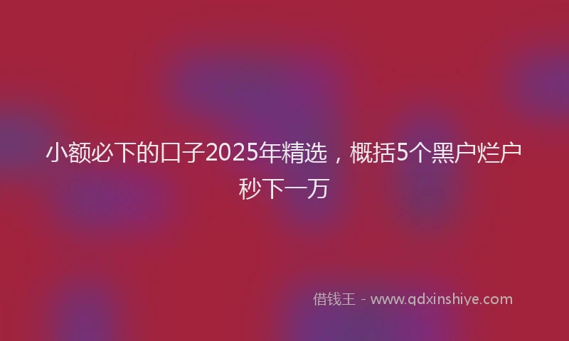 小额必下的口子2025年精选，概括5个黑户烂户秒下一万