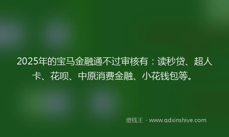 2025年的宝马金融通不过审核有：读秒贷、超人卡、花呗、中原消费金融、小花钱包等。