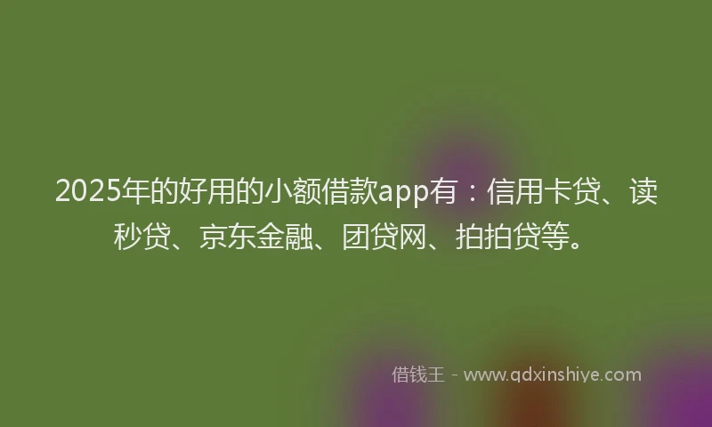 2025年的好用的小额借款app有：信用卡贷、读秒贷、京东金融、团贷网、拍拍贷等。
