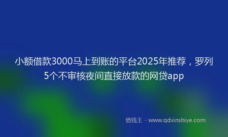 小额借款3000马上到账的平台2025年推荐，罗列5个不审核夜间直接放款的网贷app