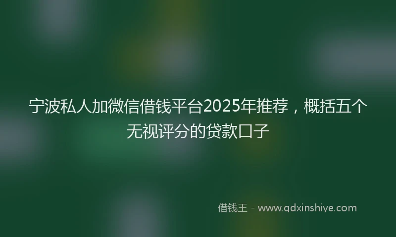 宁波私人加微信借钱平台2025年推荐，概括五个无视评分的贷款口子