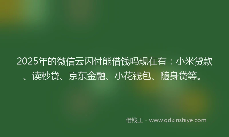 2025年的微信云闪付能借钱吗现在有：小米贷款、读秒贷、京东金融、小花钱包、随身贷等。