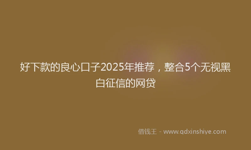 好下款的良心口子2025年推荐，整合5个无视黑白征信的网贷