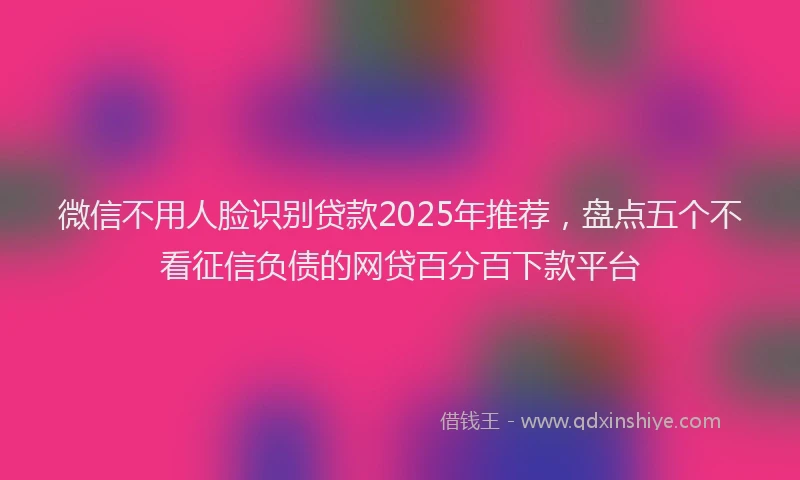 微信不用人脸识别贷款2025年推荐，盘点五个不看征信负债的网贷百分百下款平台