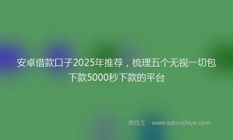 安卓借款口子2025年推荐，梳理五个无视一切包下款5000秒下款的平台