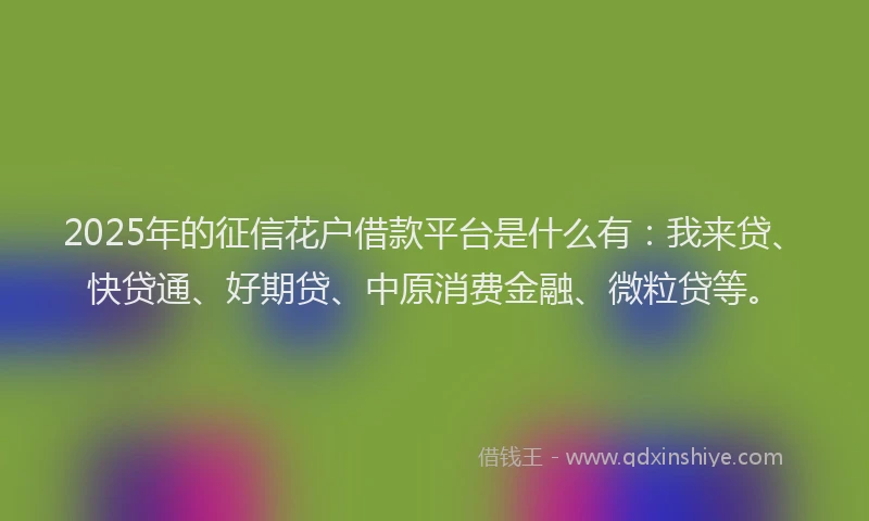 2025年的征信花户借款平台是什么有：我来贷、快贷通、好期贷、中原消费金融、微粒贷等。