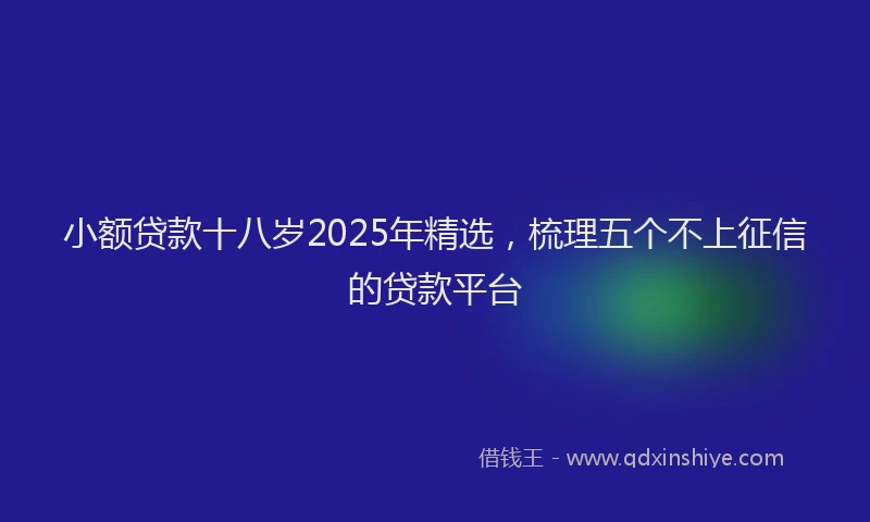小额贷款十八岁2025年精选，梳理五个不上征信的贷款平台