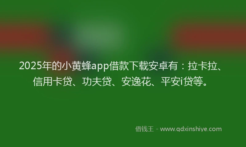 2025年的小黄蜂app借款下载安卓有：拉卡拉、信用卡贷、功夫贷、安逸花、平安i贷等。
