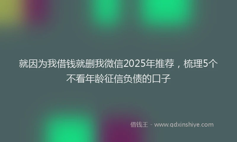 就因为我借钱就删我微信2025年推荐，梳理5个不看年龄征信负债的口子