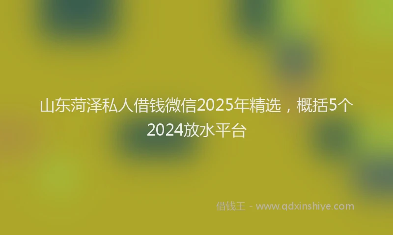 山东菏泽私人借钱微信2025年精选，概括5个2024放水平台