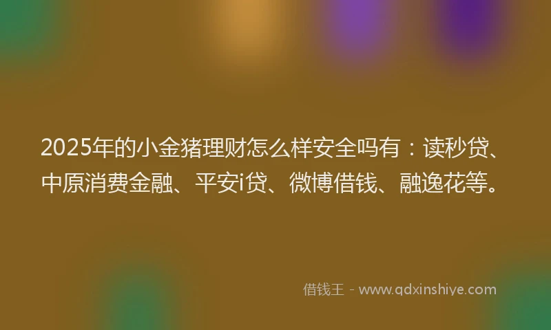 2025年的小金猪理财怎么样安全吗有：读秒贷、中原消费金融、平安i贷、微博借钱、融逸花等。