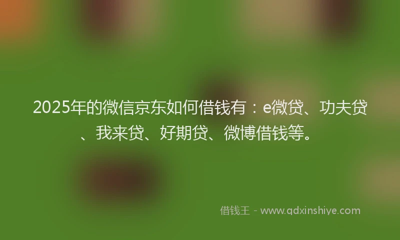 2025年的微信京东如何借钱有：e微贷、功夫贷、我来贷、好期贷、微博借钱等。