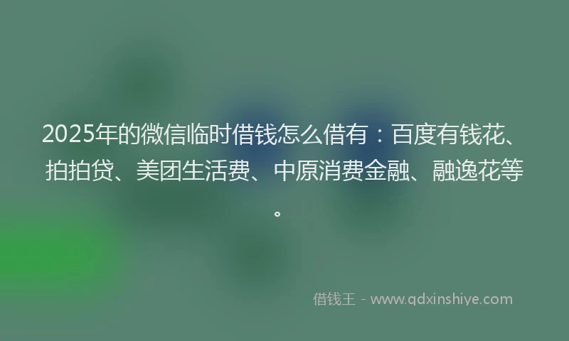 2025年的微信临时借钱怎么借有：百度有钱花、拍拍贷、美团生活费、中原消费金融、融逸花等。