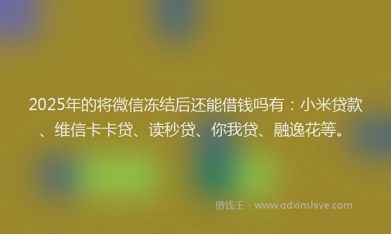 2025年的将微信冻结后还能借钱吗有：小米贷款、维信卡卡贷、读秒贷、你我贷、融逸花等。