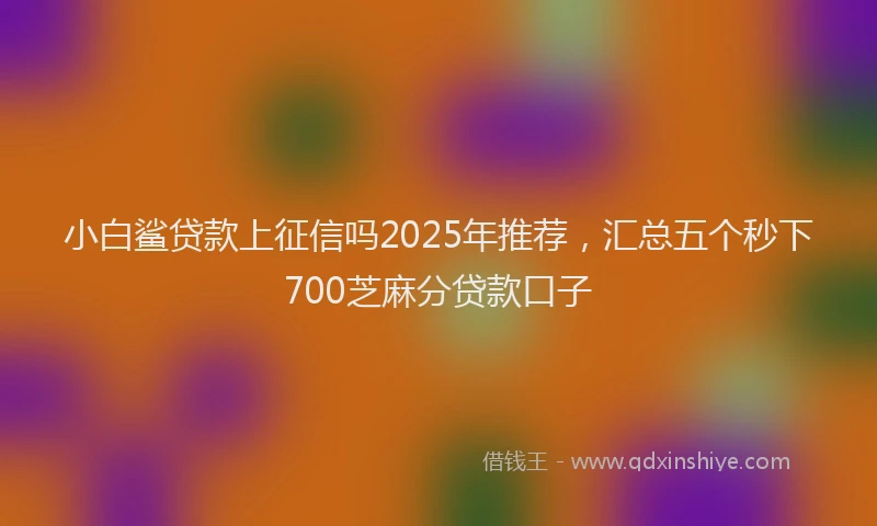 小白鲨贷款上征信吗2025年推荐，汇总五个秒下700芝麻分贷款口子