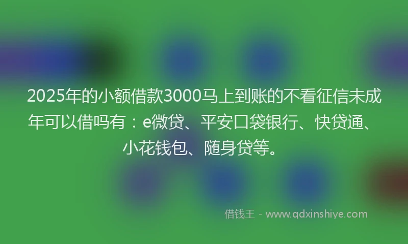 2025年的小额借款3000马上到账的不看征信未成年可以借吗有：e微贷、平安口袋银行、快贷通、小花钱包、随身贷等。