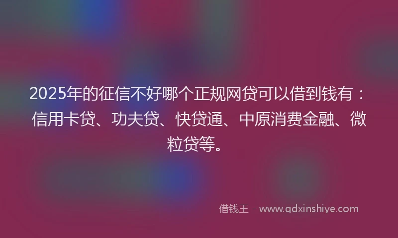 2025年的征信不好哪个正规网贷可以借到钱有：信用卡贷、功夫贷、快贷通、中原消费金融、微粒贷等。