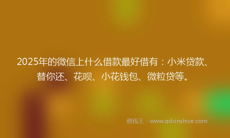 2025年的微信上什么借款最好借有：小米贷款、替你还、花呗、小花钱包、微粒贷等。