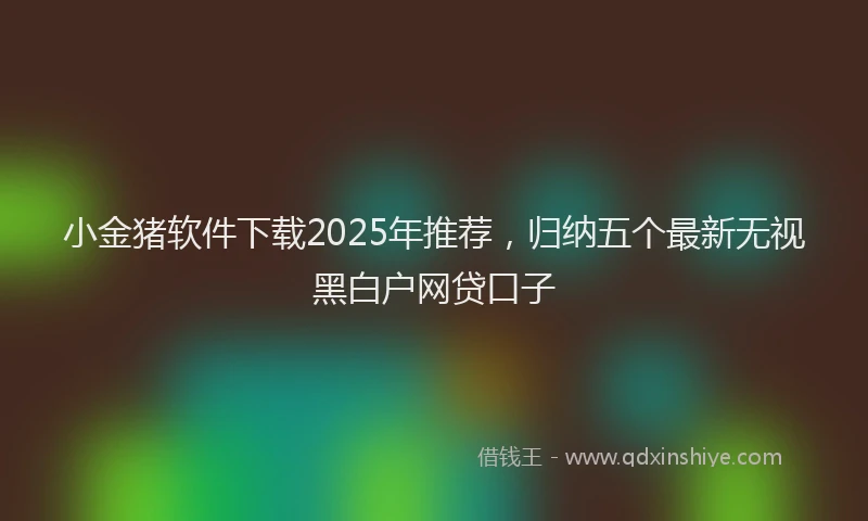 小金猪软件下载2025年推荐，归纳五个最新无视黑白户网贷口子