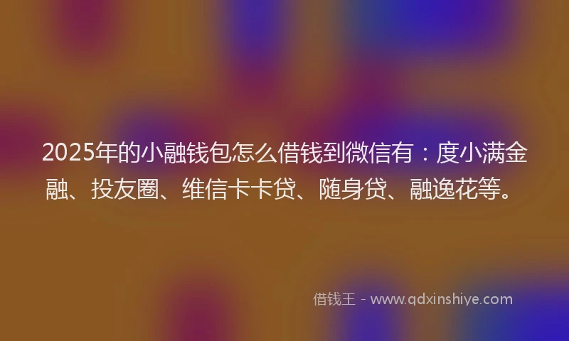 2025年的小融钱包怎么借钱到微信有：度小满金融、投友圈、维信卡卡贷、随身贷、融逸花等。