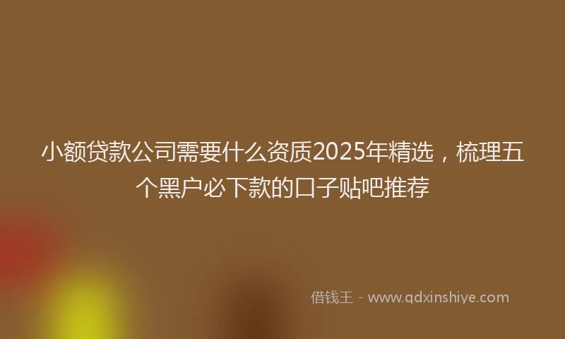 小额贷款公司需要什么资质2025年精选，梳理五个黑户必下款的口子贴吧推荐