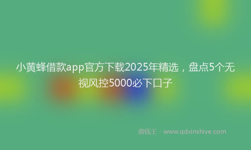 小黄蜂借款app官方下载2025年精选，盘点5个无视风控5000必下口子