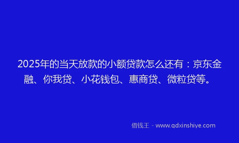 2025年的当天放款的小额贷款怎么还有：京东金融、你我贷、小花钱包、惠商贷、微粒贷等。