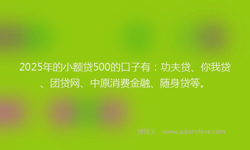2025年的小额贷500的口子有：功夫贷、你我贷、团贷网、中原消费金融、随身贷等。