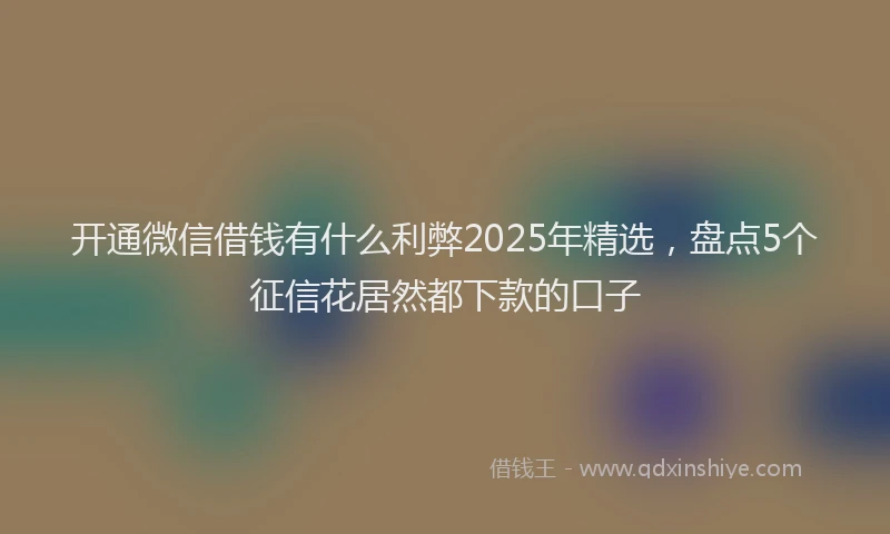 开通微信借钱有什么利弊2025年精选，盘点5个征信花居然都下款的口子