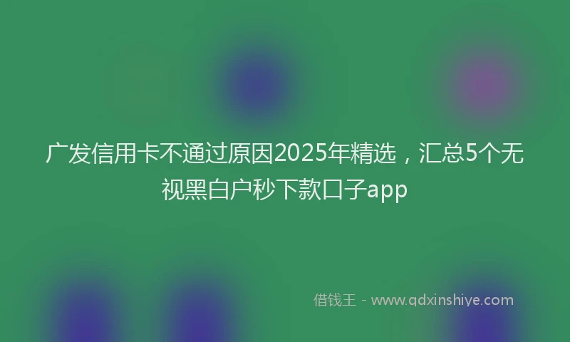 广发信用卡不通过原因2025年精选，汇总5个无视黑白户秒下款口子app