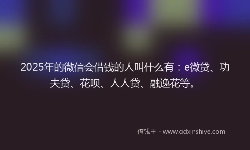 2025年的微信会借钱的人叫什么有：e微贷、功夫贷、花呗、人人贷、融逸花等。