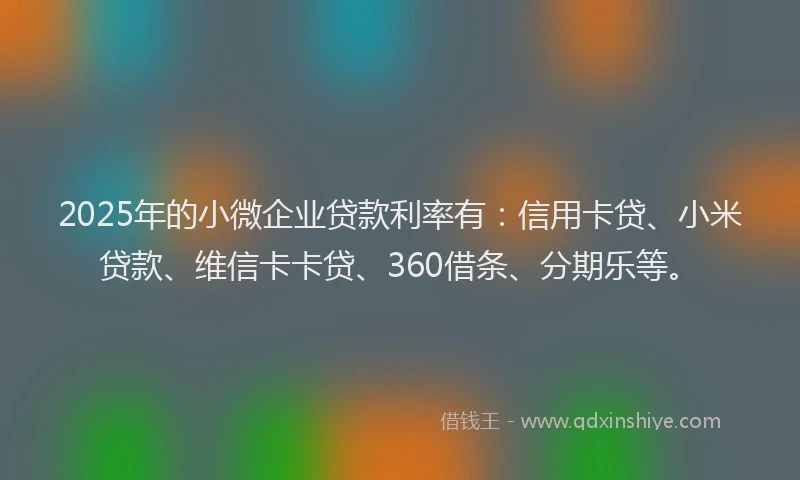 2025年的小微企业贷款利率有：信用卡贷、小米贷款、维信卡卡贷、360借条、分期乐等。