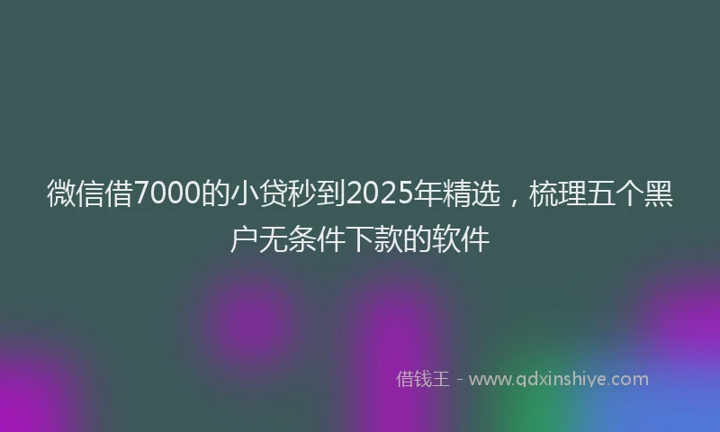 微信借7000的小贷秒到2025年精选，梳理五个黑户无条件下款的软件