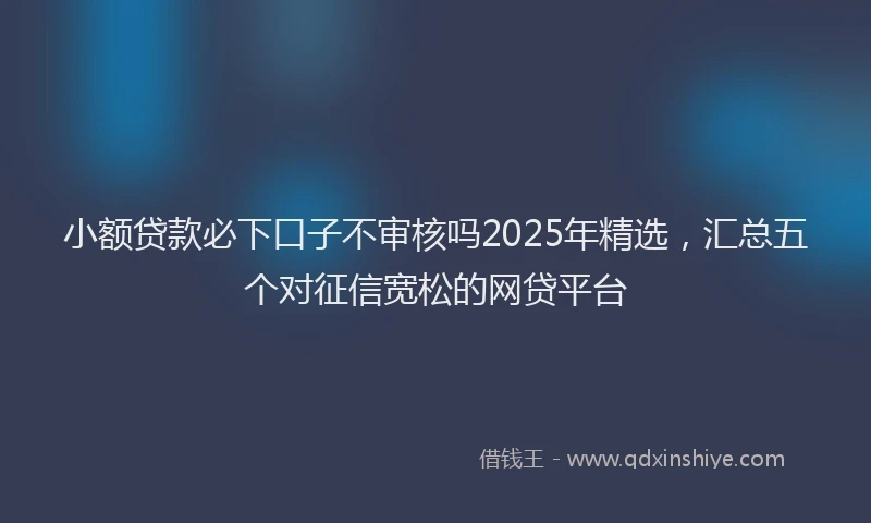 小额贷款必下口子不审核吗2025年精选，汇总五个对征信宽松的网贷平台
