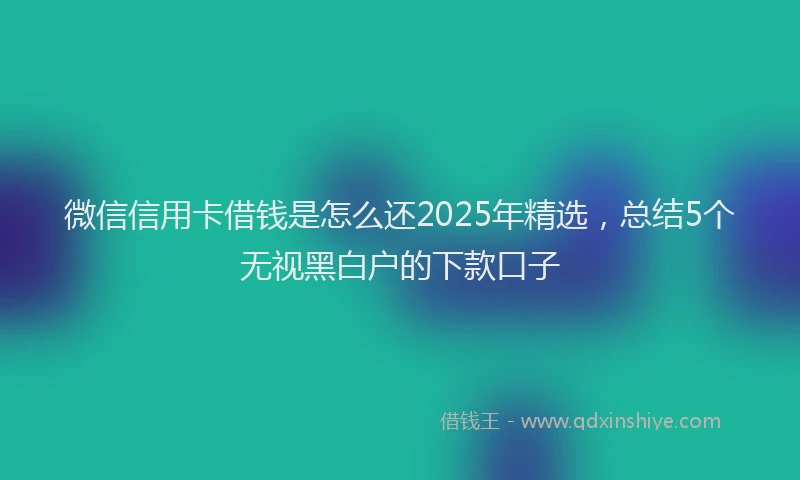 微信信用卡借钱是怎么还2025年精选，总结5个无视黑白户的下款口子