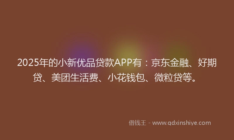 2025年的小新优品贷款APP有：京东金融、好期贷、美团生活费、小花钱包、微粒贷等。