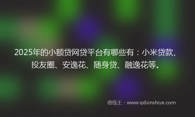 2025年的小额贷网贷平台有哪些有：小米贷款、投友圈、安逸花、随身贷、融逸花等。