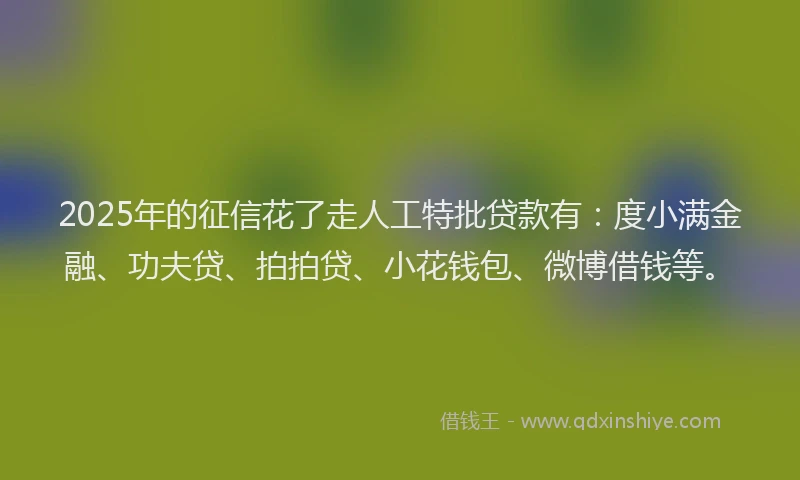 2025年的征信花了走人工特批贷款有：度小满金融、功夫贷、拍拍贷、小花钱包、微博借钱等。