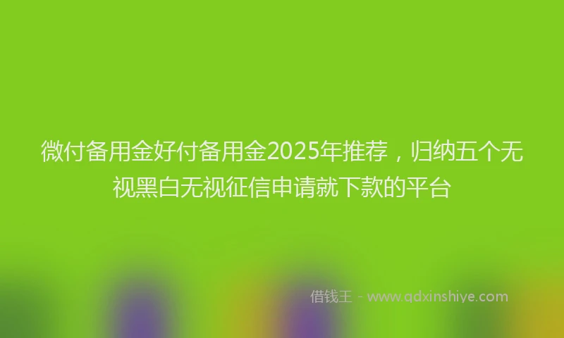 微付备用金好付备用金2025年推荐，归纳五个无视黑白无视征信申请就下款的平台