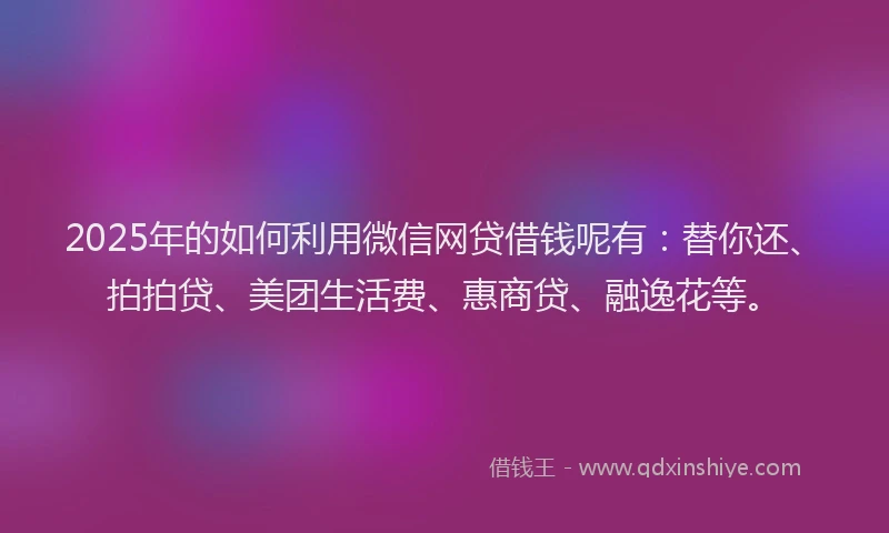 2025年的如何利用微信网贷借钱呢有：替你还、拍拍贷、美团生活费、惠商贷、融逸花等。