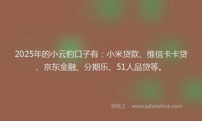 2025年的小云豹口子有：小米贷款、维信卡卡贷、京东金融、分期乐、51人品贷等。