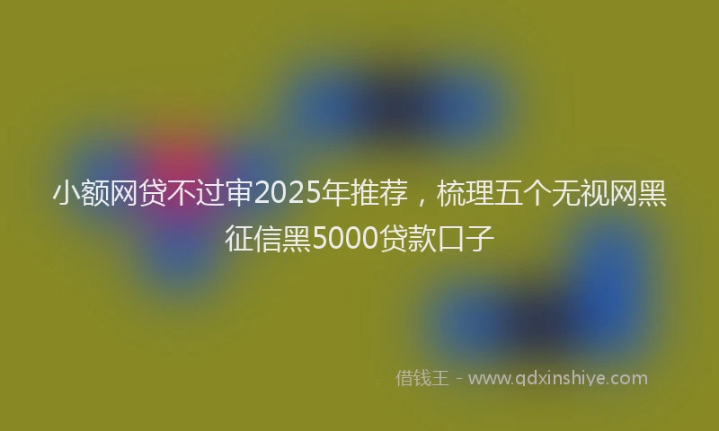小额网贷不过审2025年推荐，梳理五个无视网黑征信黑5000贷款口子