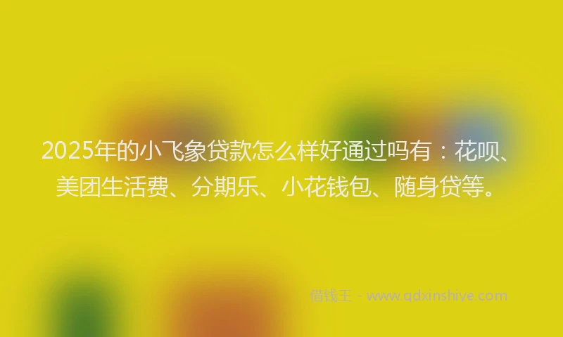 2025年的小飞象贷款怎么样好通过吗有：花呗、美团生活费、分期乐、小花钱包、随身贷等。