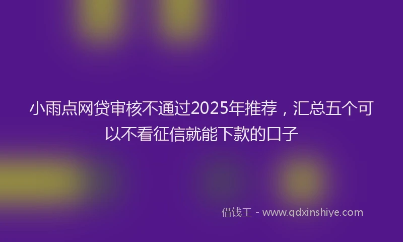 小雨点网贷审核不通过2025年推荐，汇总五个可以不看征信就能下款的口子