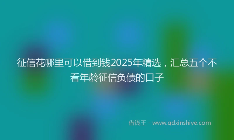 征信花哪里可以借到钱2025年精选，汇总五个不看年龄征信负债的口子