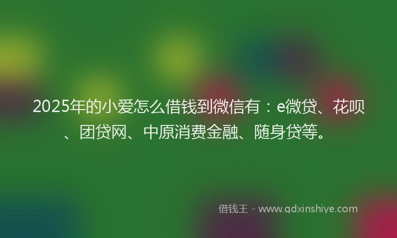 2025年的小爱怎么借钱到微信有：e微贷、花呗、团贷网、中原消费金融、随身贷等。