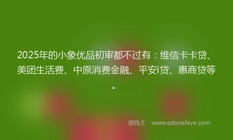 2025年的小象优品初审都不过有：维信卡卡贷、美团生活费、中原消费金融、平安i贷、惠商贷等。